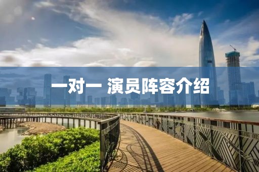 一对一 演员阵容介绍