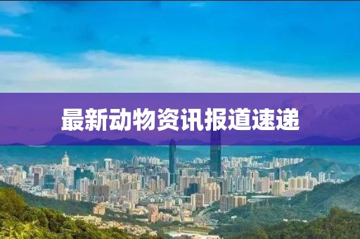 最新动物资讯报道速递