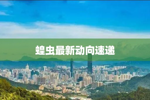 蝗虫最新动向速递