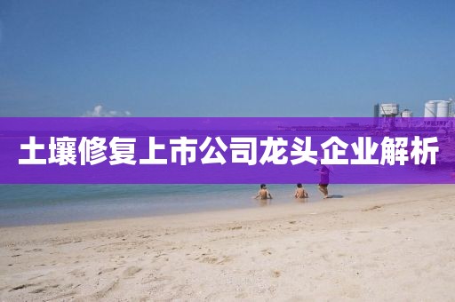 薰衣草的夏天 第3页