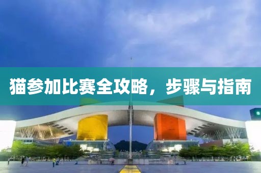 猫参加比赛全攻略，步骤与指南