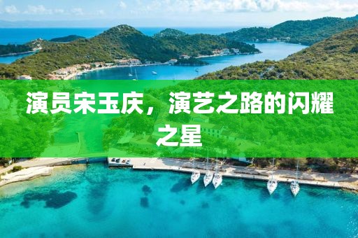 演员宋玉庆，演艺之路的闪耀之星