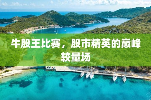 牛股王比赛，股市精英的巅峰较量场