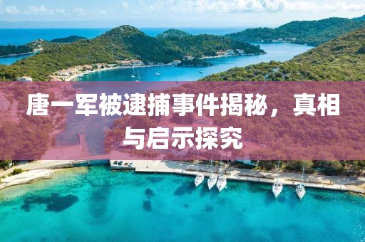 唐一军被逮捕事件揭秘，真相与启示探究