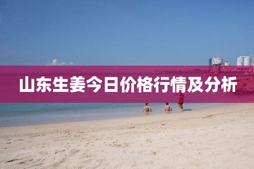 禽昆鹏 第3页