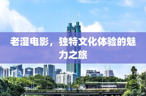老湿电影，独特文化体验的魅力之旅