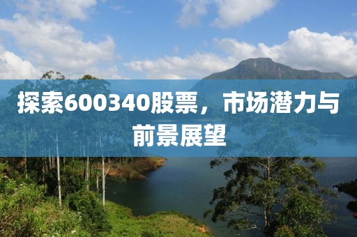 探索600340股票，市场潜力与前景展望