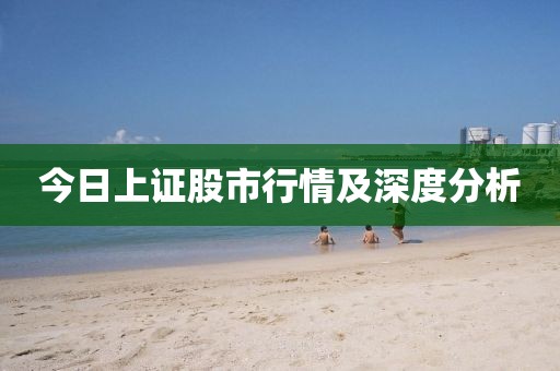 今日上证股市行情及深度分析