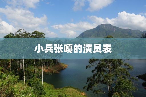 小兵张嘎的演员表