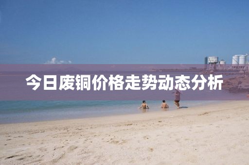 伯依白 第3页