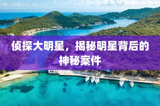 侦探大明星，揭秘明星背后的神秘案件