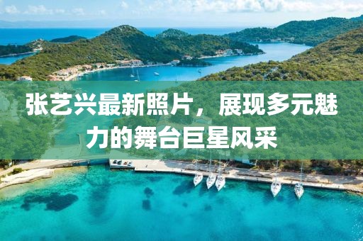 张艺兴最新照片，展现多元魅力的舞台巨星风采