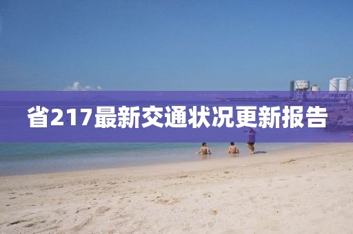 省217最新交通状况更新报告