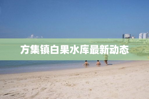 赖碧蓉 第3页