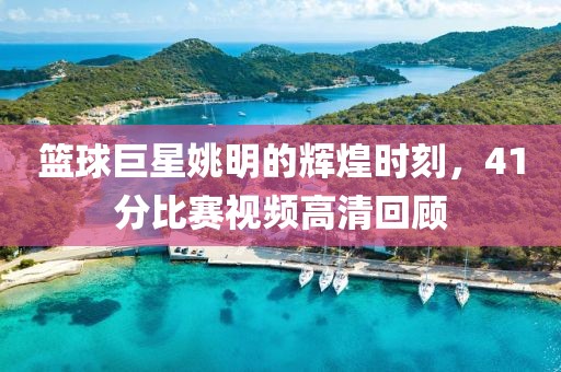 篮球巨星姚明的辉煌时刻，41分比赛视频高清回顾