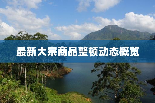 最新大宗商品整顿动态概览