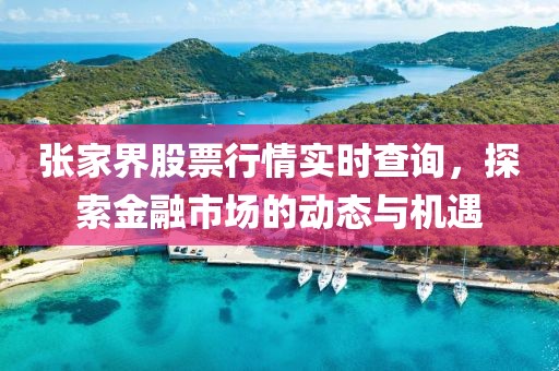 张家界股票行情实时查询，探索金融市场的动态与机遇