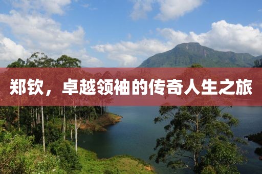 郑钦，卓越领袖的传奇人生之旅
