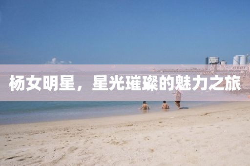 杨女明星，星光璀璨的魅力之旅