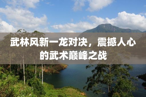 武林风新一龙对决，震撼人心的武术巅峰之战