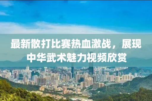 最新散打比赛热血激战，展现中华武术魅力视频欣赏