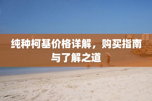 纯种柯基价格详解，购买指南与了解之道