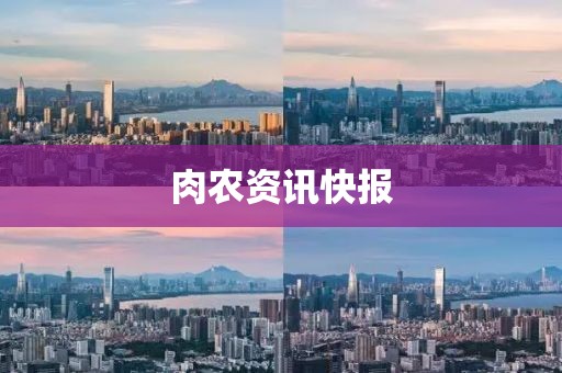 肉农资讯快报