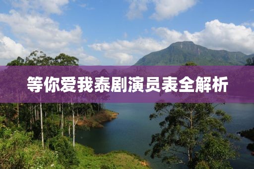 等你爱我泰剧演员表全解析