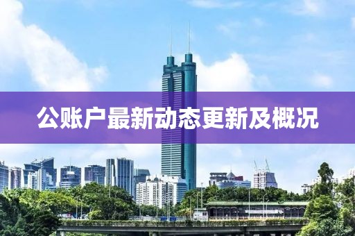 公账户最新动态更新及概况