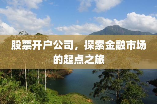 股票开户公司，探索金融市场的起点之旅