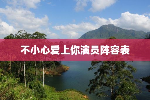 不小心爱上你演员阵容表