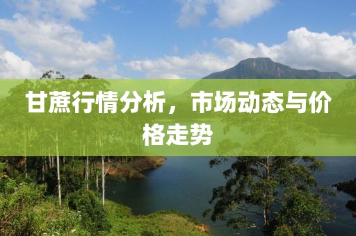 甘蔗行情分析，市场动态与价格走势