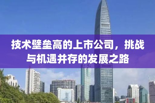 技术壁垒高的上市公司，挑战与机遇并存的发展之路