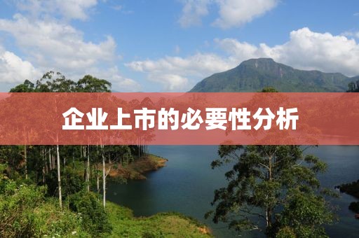 企业上市的必要性分析