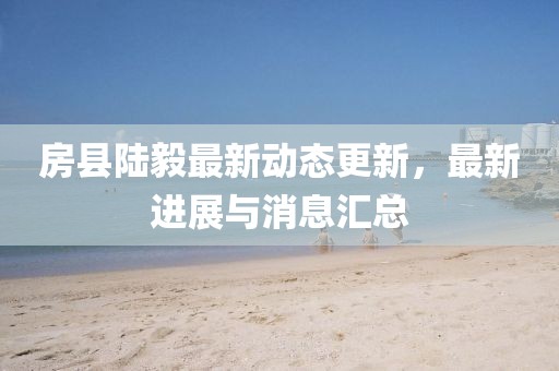 房县陆毅最新动态更新，最新进展与消息汇总