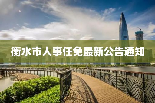 衡水市人事任免最新公告通知