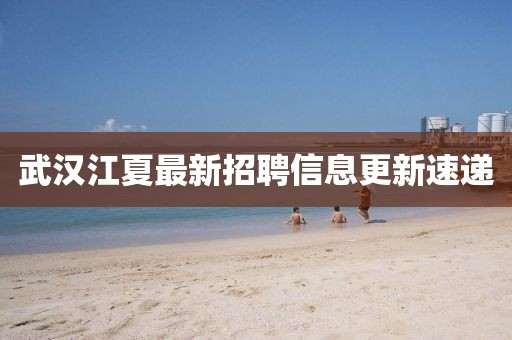 武汉江夏最新招聘信息更新速递