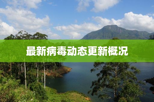 最新病毒动态更新概况