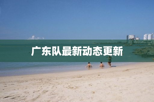 广东队最新动态更新