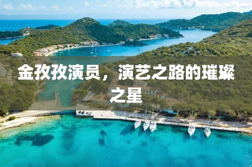 金孜孜演员，演艺之路的璀璨之星