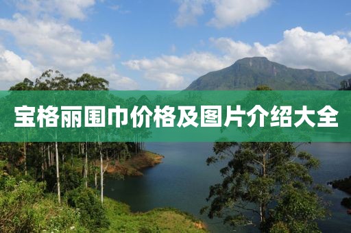 宝格丽围巾价格及图片介绍大全