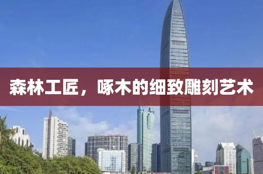 森林工匠，啄木的细致雕刻艺术