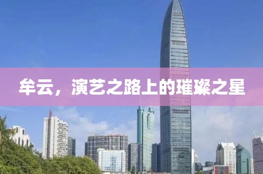 牟云，演艺之路上的璀璨之星