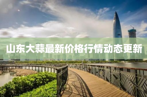 山东大蒜最新价格行情动态更新