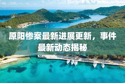 原阳惨案最新进展更新，事件最新动态揭秘