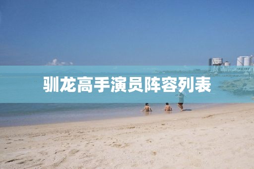 驯龙高手演员阵容列表