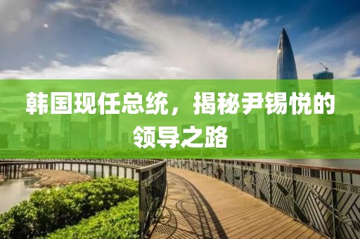 韩国现任总统，揭秘尹锡悦的领导之路