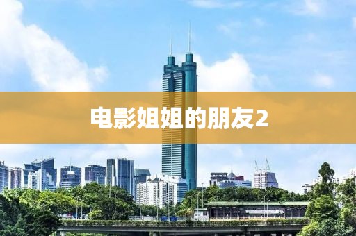 电影姐姐的朋友2