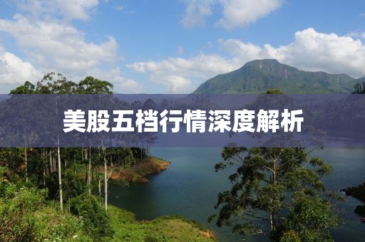 美股五档行情深度解析