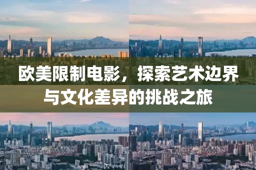 欧美限制电影，探索艺术边界与文化差异的挑战之旅